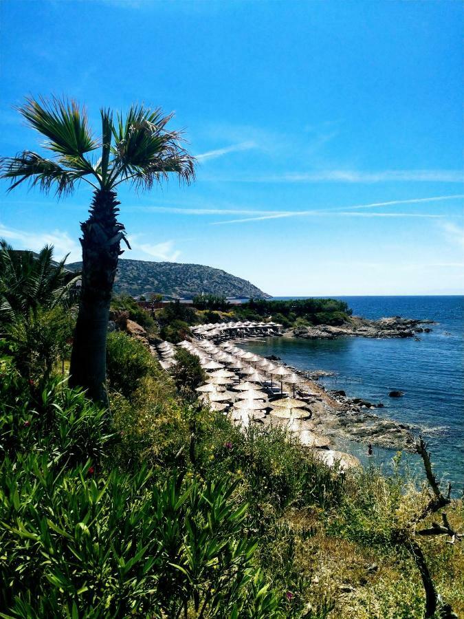 New Seafront Studio Hostal Anavyssos Exterior foto